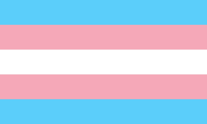 A blue, pink, and white striped flag. The transgender flag.